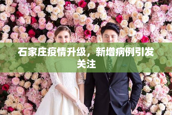 石家庄疫情升级，新增病例引发关注