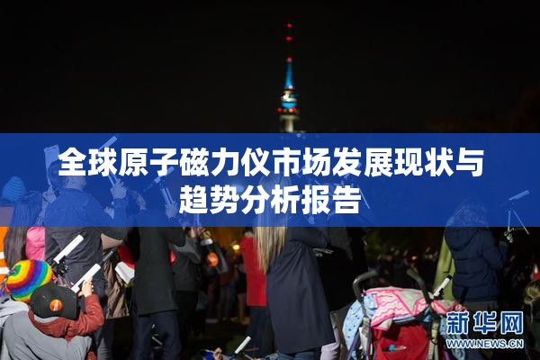 全球原子磁力仪市场发展现状与趋势分析报告