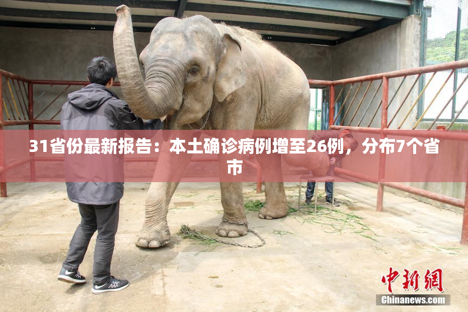 31省份最新报告：本土确诊病例增至26例，分布7个省市