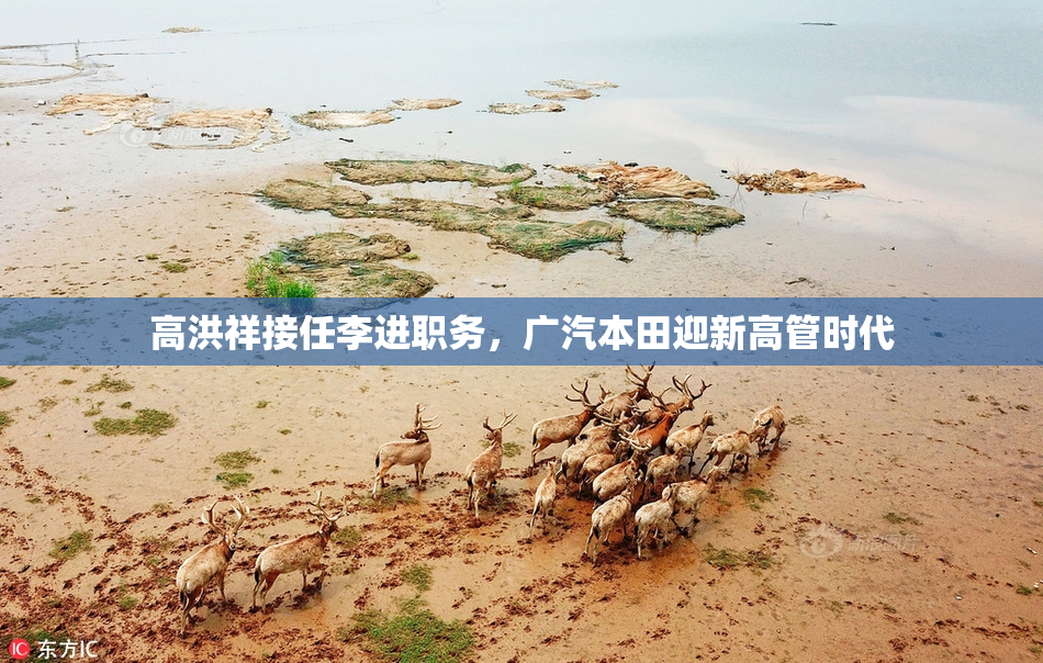 高洪祥接任李进职务，广汽本田迎新高管时代