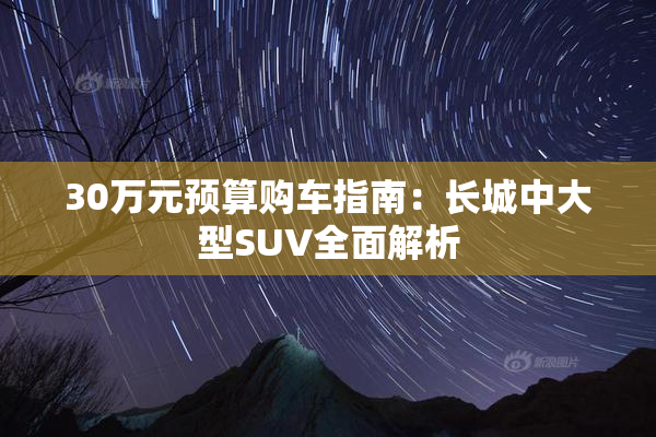 30万元预算购车指南：长城中大型SUV全面解析