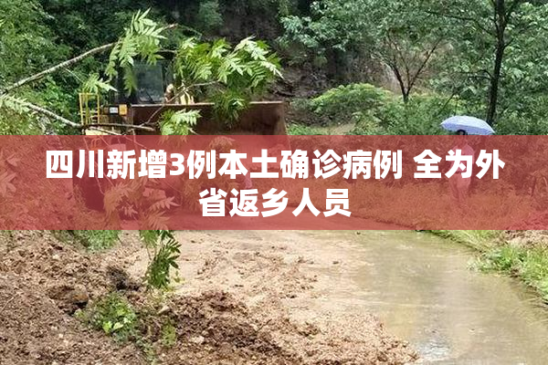 四川新增3例本土确诊病例 全为外省返乡人员