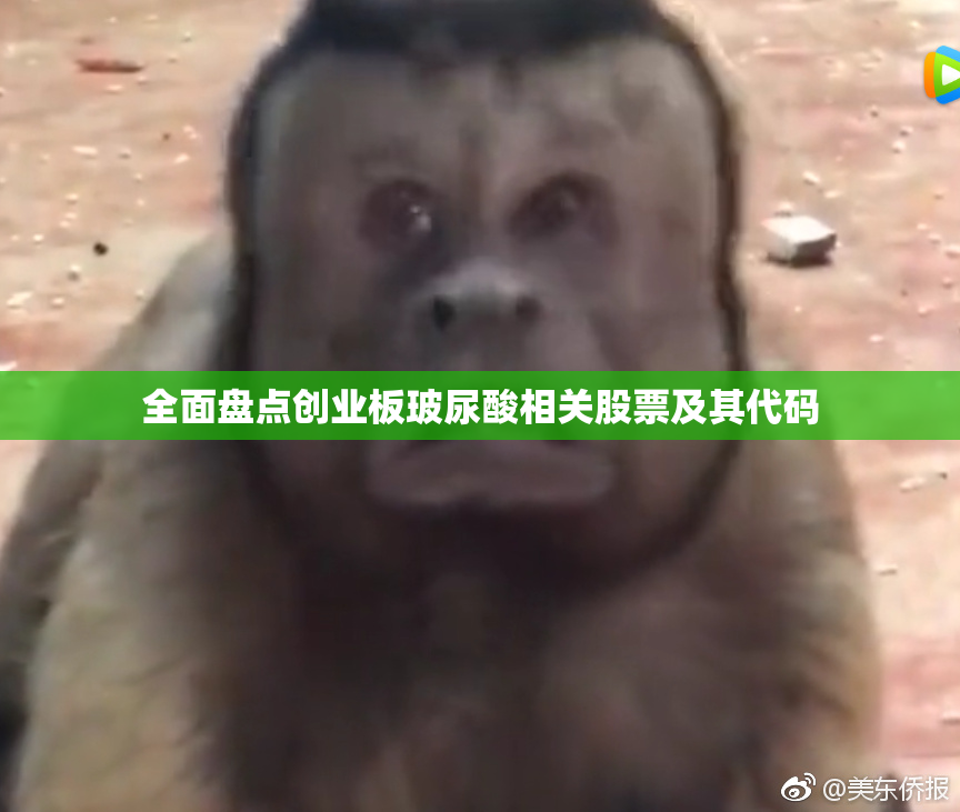 全面盘点创业板玻尿酸相关股票及其代码