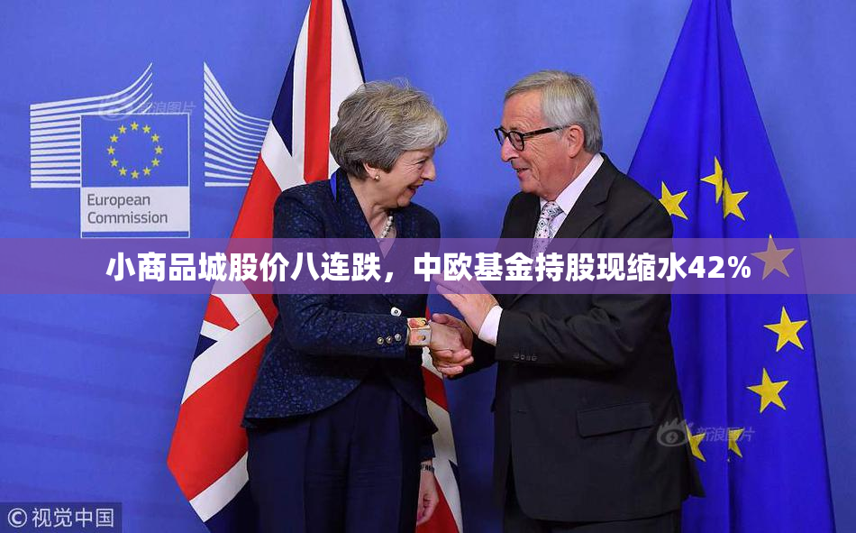 小商品城股价八连跌，中欧基金持股现缩水42%