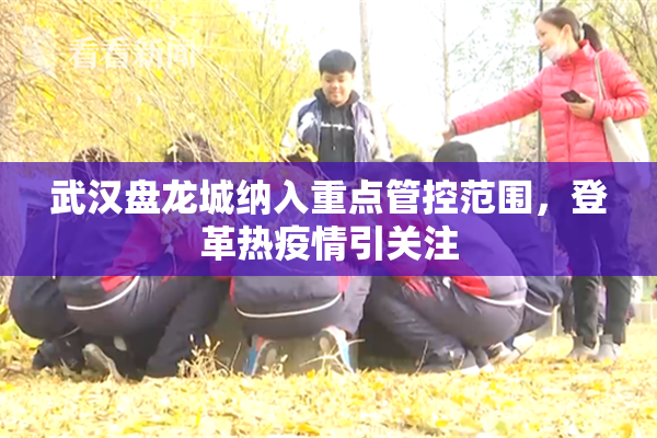 武汉盘龙城纳入重点管控范围，登革热疫情引关注