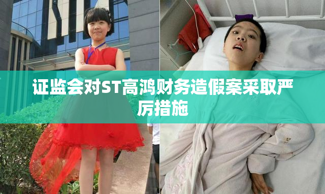 证监会对ST高鸿财务造假案采取严厉措施