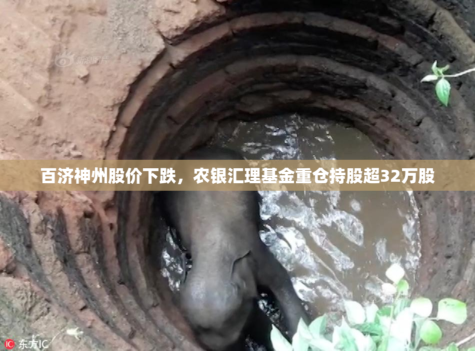 百济神州股价下跌，农银汇理基金重仓持股超32万股