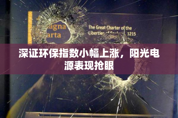 深证环保指数小幅上涨，阳光电源表现抢眼