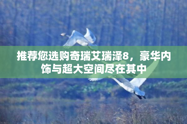 推荐您选购奇瑞艾瑞泽8，豪华内饰与超大空间尽在其中