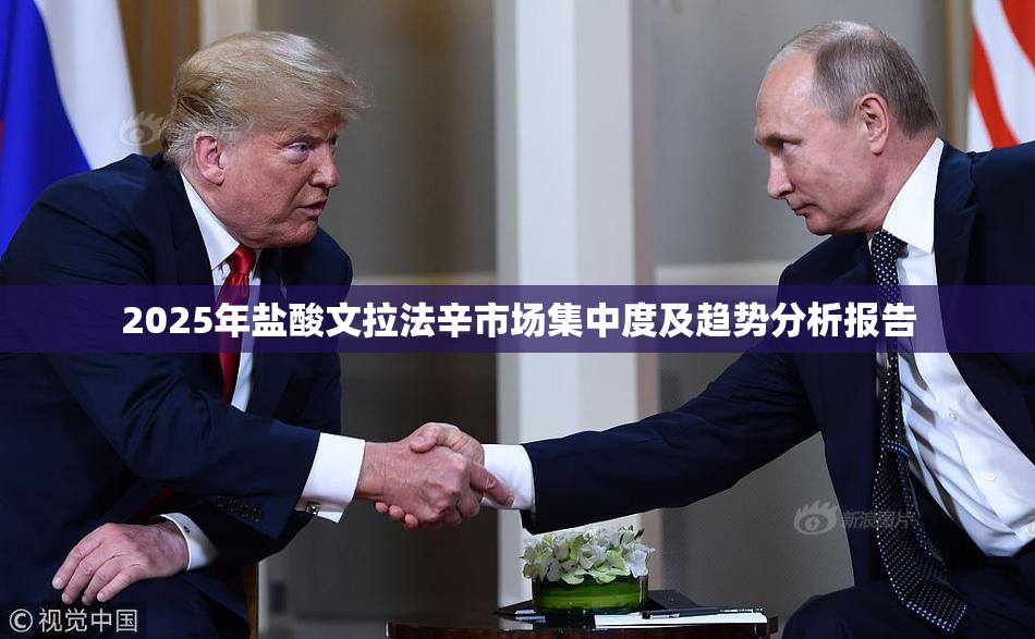 2025年盐酸文拉法辛市场集中度及趋势分析报告