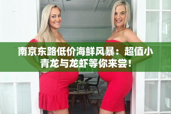 南京东路低价海鲜风暴：超值小青龙与龙虾等你来尝！