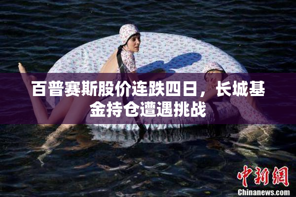 百普赛斯股价连跌四日，长城基金持仓遭遇挑战
