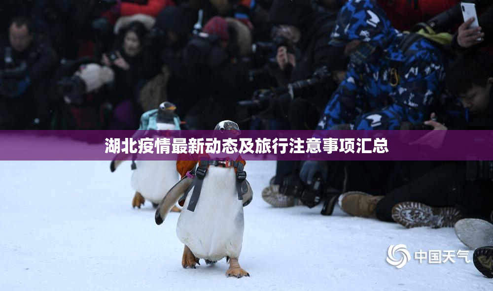 湖北疫情最新动态及旅行注意事项汇总