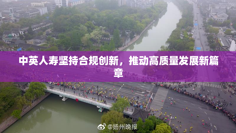 中英人寿坚持合规创新，推动高质量发展新篇章