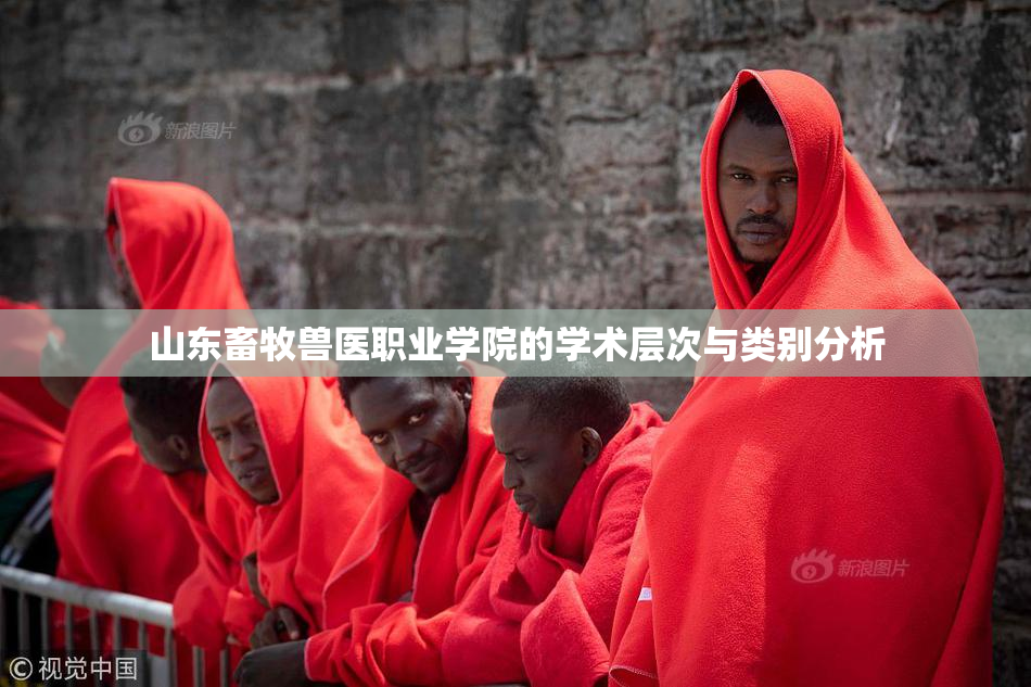 山东畜牧兽医职业学院的学术层次与类别分析