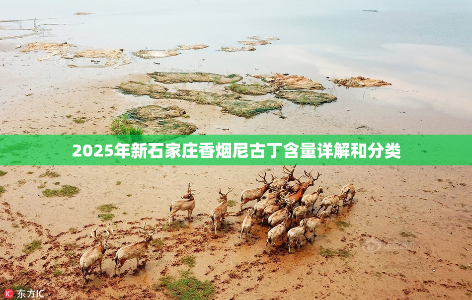 2025年新石家庄香烟尼古丁含量详解和分类