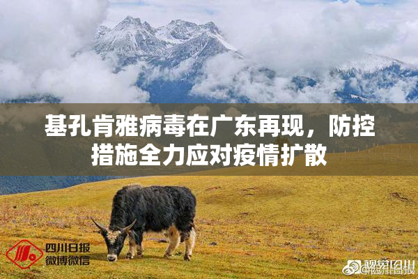 基孔肯雅病毒在广东再现，防控措施全力应对疫情扩散