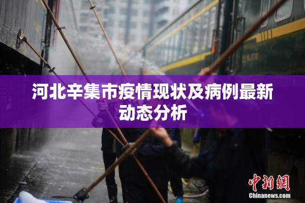 河北辛集市疫情现状及病例最新动态分析