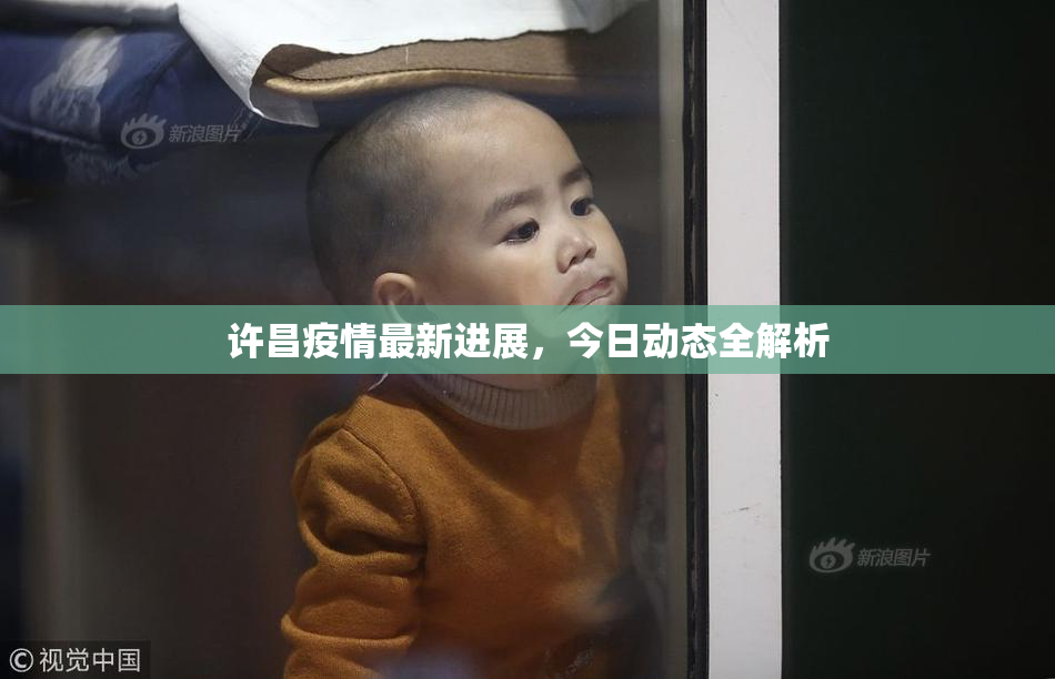 许昌疫情最新进展，今日动态全解析