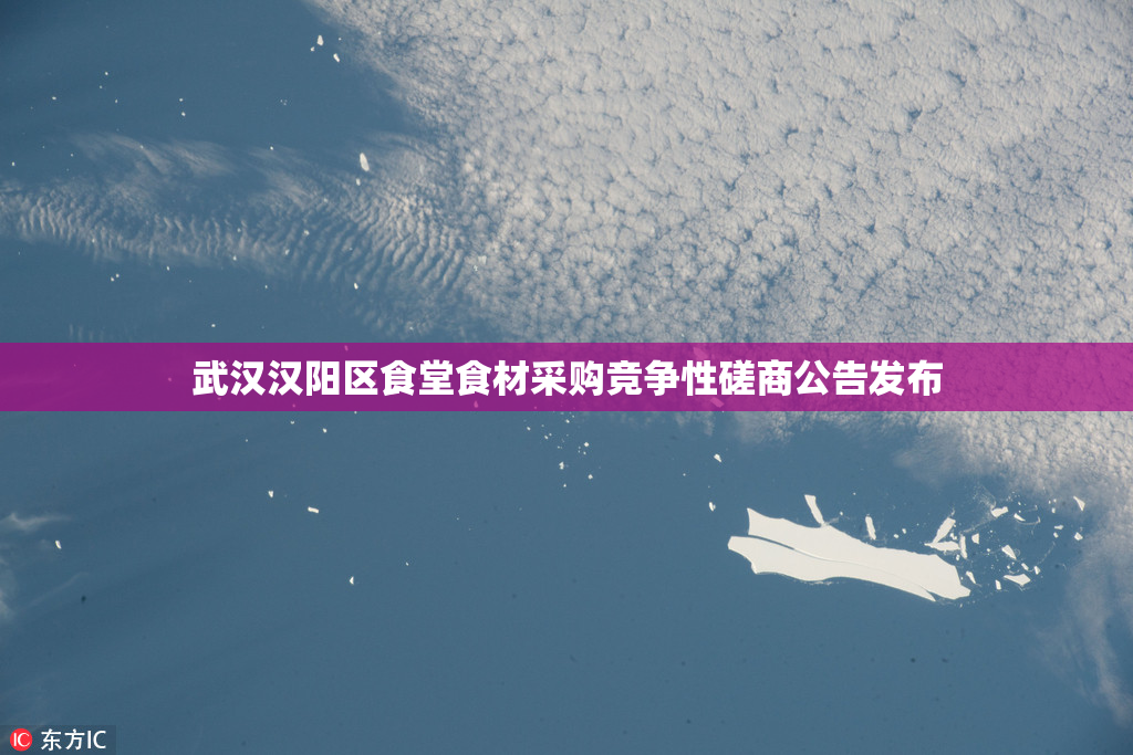武汉汉阳区食堂食材采购竞争性磋商公告发布
