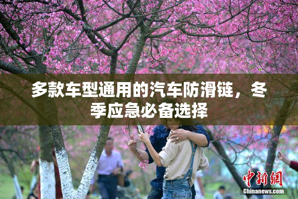 多款车型通用的汽车防滑链，冬季应急必备选择