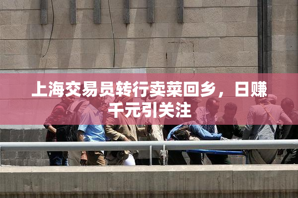 上海交易员转行卖菜回乡，日赚千元引关注