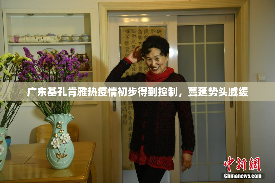 广东基孔肯雅热疫情初步得到控制，蔓延势头减缓