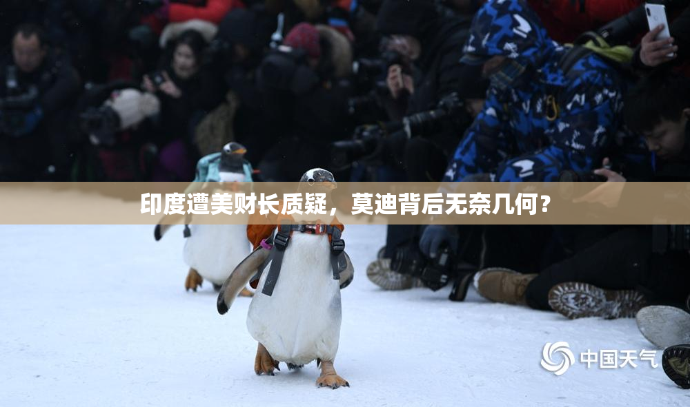 印度遭美财长质疑，莫迪背后无奈几何？