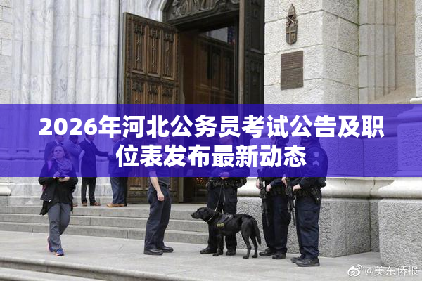 2026年河北公务员考试公告及职位表发布最新动态