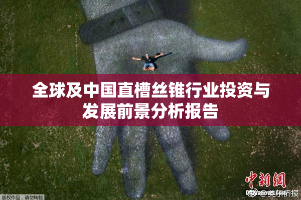 全球及中国直槽丝锥行业投资与发展前景分析报告