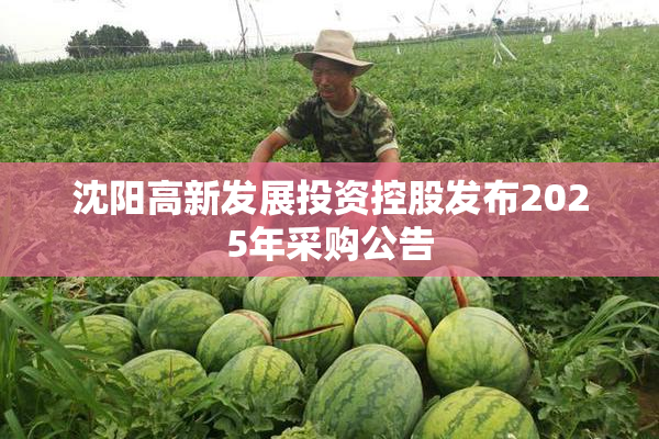 沈阳高新发展投资控股发布2025年采购公告