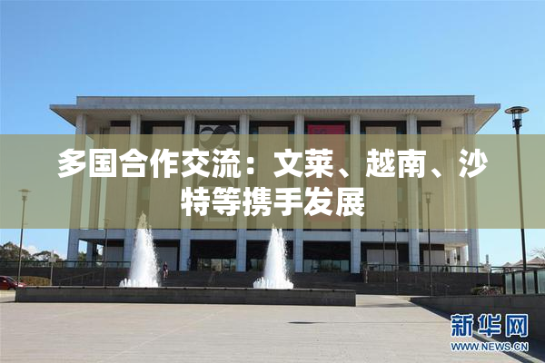 多国合作交流：文莱、越南、沙特等携手发展