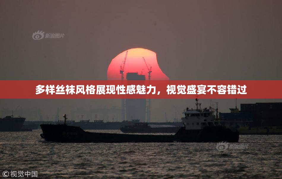 多样丝袜风格展现性感魅力，视觉盛宴不容错过