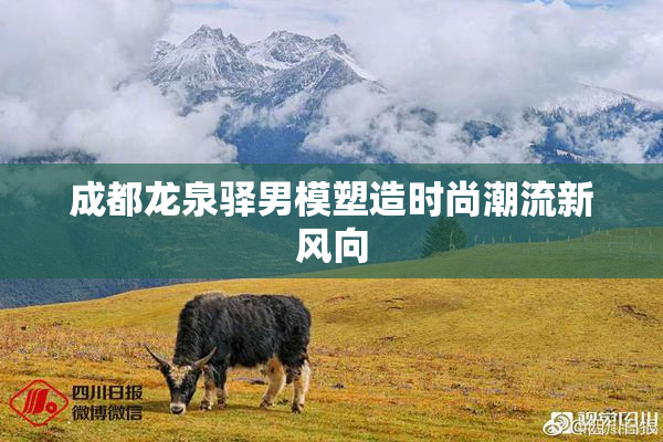成都龙泉驿男模塑造时尚潮流新风向