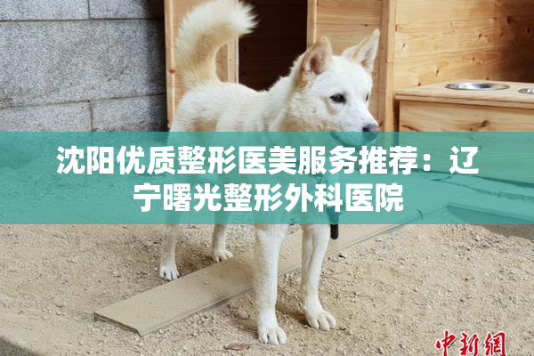 沈阳优质整形医美服务推荐：辽宁曙光整形外科医院