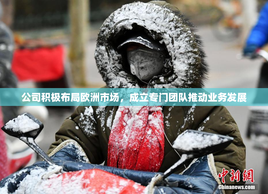 公司积极布局欧洲市场，成立专门团队推动业务发展