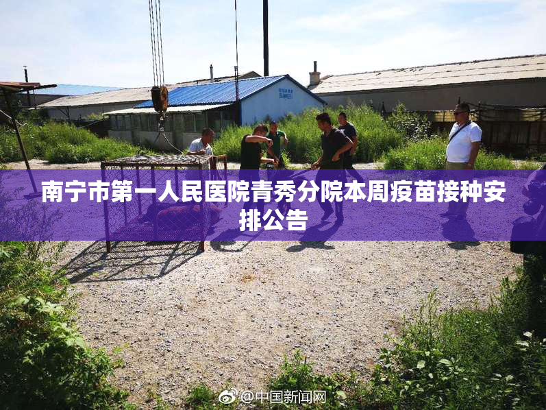 南宁市第一人民医院青秀分院本周疫苗接种安排公告