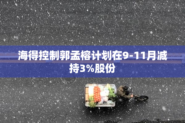 海得控制郭孟榕计划在9-11月减持3%股份