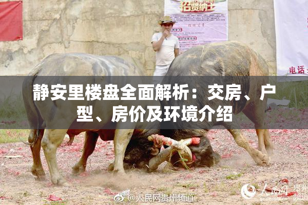 静安里楼盘全面解析：交房、户型、房价及环境介绍