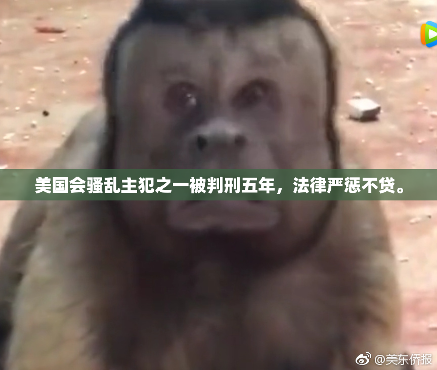 美国会骚乱主犯之一被判刑五年，法律严惩不贷。