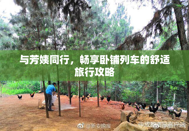 与芳姨同行，畅享卧铺列车的舒适旅行攻略