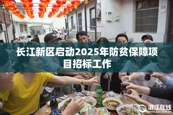 长江新区启动2025年防贫保障项目招标工作