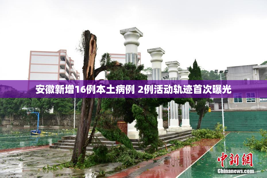 安徽新增16例本土病例 2例活动轨迹首次曝光