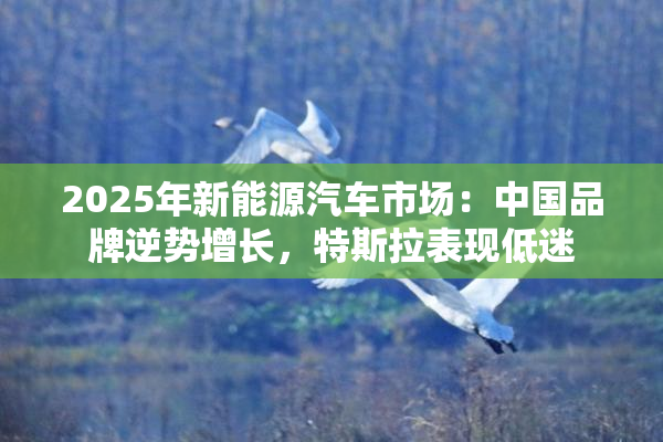 2025年新能源汽车市场：中国品牌逆势增长，特斯拉表现低迷