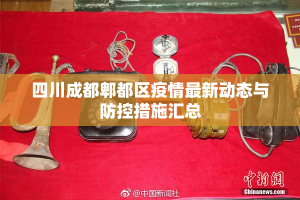 四川成都郫都区疫情最新动态与防控措施汇总
