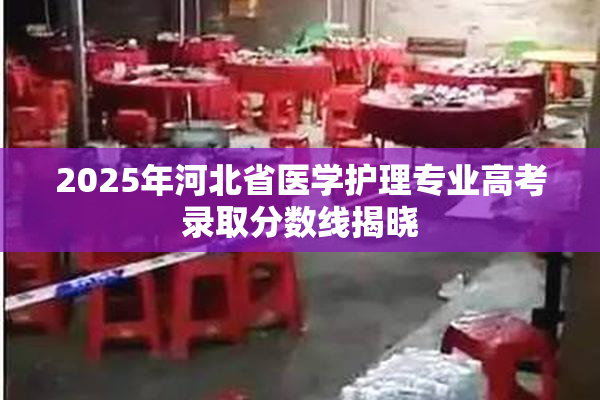2025年河北省医学护理专业高考录取分数线揭晓