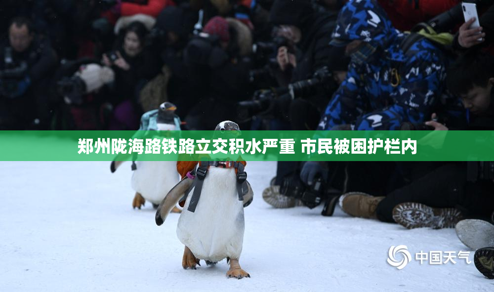 郑州陇海路铁路立交积水严重 市民被困护栏内