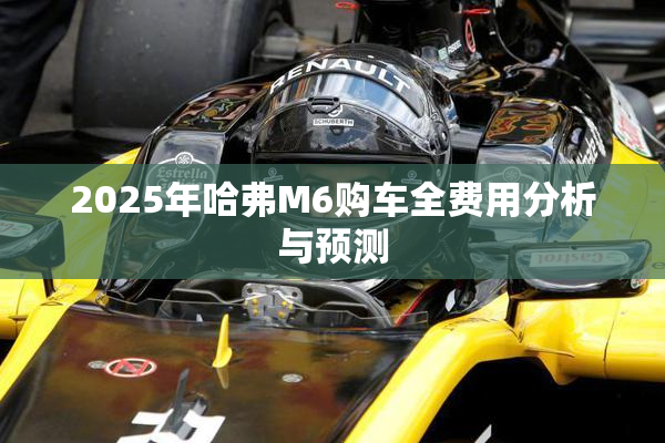 2025年哈弗M6购车全费用分析与预测