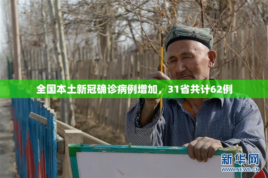 全国本土新冠确诊病例增加，31省共计62例