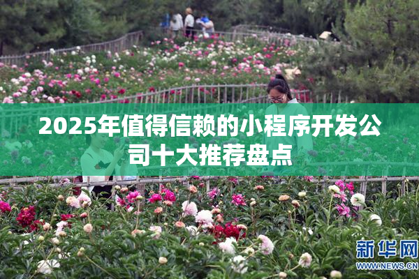 2025年值得信赖的小程序开发公司十大推荐盘点
